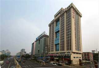 杭州干品灰树花市场价格