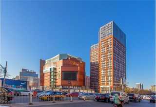 北京锅炉脱硝系统原理