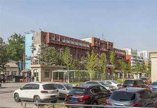 老班章的特点和口感